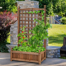 Load image into Gallery viewer, Solid Wood Farmhouse Garden Planter Box with 48-inch High Trellis