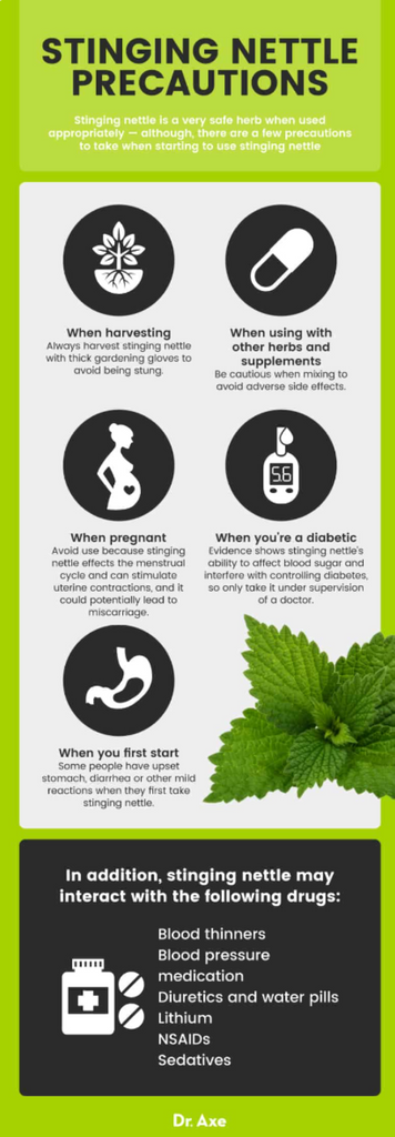 Wild Stinging Nettle Elixir