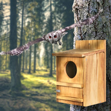 Load image into Gallery viewer, Outdoor Wooden Screech Owl BirdHouse for Mounting - Easy to Assemble