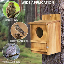 Load image into Gallery viewer, Outdoor Wooden Screech Owl BirdHouse for Mounting - Easy to Assemble