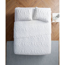 Load image into Gallery viewer, Queen size Coastal Beach Seashells Starfish Sea Horse White 3-Piece Quilt Set