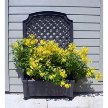 Load image into Gallery viewer, Outdoor Self-Watering Garden Planter with Trellis and Wheels in Grey Plastic