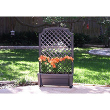 Load image into Gallery viewer, Outdoor Self-Watering Garden Planter with Trellis and Wheels in Grey Plastic