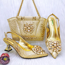Load image into Gallery viewer, Charming Shoes And Bag Matching Set HRF1-6