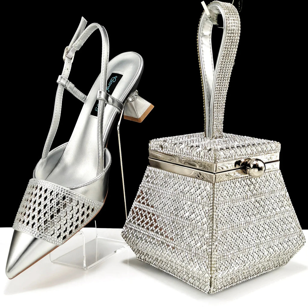 Women Shoes and Bags To Match Set HAS1-32