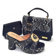 Load image into Gallery viewer, Italian Shoes And Bag Sets HTG1-9