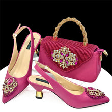 Load image into Gallery viewer, High Quality Ladies Shoes And Bags Set HAS1-23