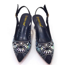 Load image into Gallery viewer, Elegant Ladies Shoes and Bag Set WEQ34