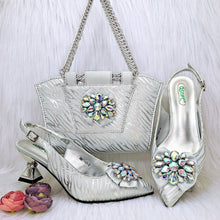 Load image into Gallery viewer, Charming Shoes And Bag Matching Set HRF1-6