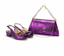 Load image into Gallery viewer, Elegant Low Heels Ladies Shoes And Bag Set