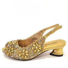 Load image into Gallery viewer, Pumps Shoes and Bags To Match