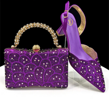Load image into Gallery viewer, Italian Shoes and Handbags Set EDS5
