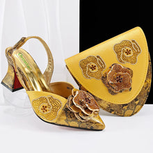 Load image into Gallery viewer, New Shoes And Bag Matching Set SF1-2