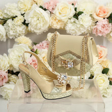 Load image into Gallery viewer, New Fashion Evening Shoes and Bag Set HTY543