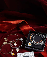 Load image into Gallery viewer, FRIENDS™ Holiday Armadillo Charm Bangle