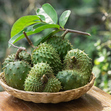 Load image into Gallery viewer, Soursop Leaf Elixir