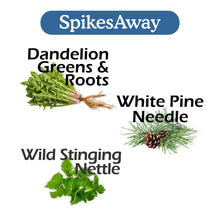 Load image into Gallery viewer, SpikesAway Bundle