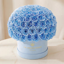Load image into Gallery viewer, Supreme Light Blue Suede Superdome Box | Light Blue Roses