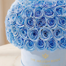 Load image into Gallery viewer, Supreme Light Blue Suede Superdome Box | Light Blue Roses