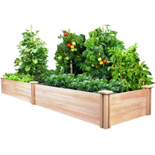 Load image into Gallery viewer, Cedar Wood 2-Ft x 8-Ft Outdoor Raised Garden Bed Planter Frame - Made in USA