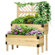 Load image into Gallery viewer, 2 Tier Self Draining Natural Wood Raised Garden Bed Planter Box with Trellis