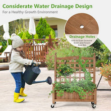 Load image into Gallery viewer, Solid Fir Wood Outdoor Raised Garden Bed Planter Box Cart on Wheels with Trellis