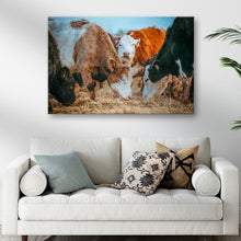 Load image into Gallery viewer, Family Of Hereford Cattle Canvas Wall Art