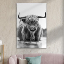 Load image into Gallery viewer, Grayscale Highland Cow Portrait Canvas Wall Art