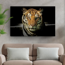 Load image into Gallery viewer, Lurking Tiger In The Dark Canvas Wall Art