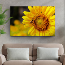 Load image into Gallery viewer, Bee On Sunflower Canvas Wall Art