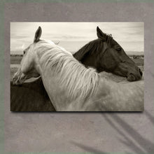 Load image into Gallery viewer, Monochrome Couple Horse Canvas Wall Art