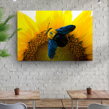 Load image into Gallery viewer, Bee Hoverfly Above A Sunflower Canvas Wall Art