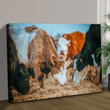 Load image into Gallery viewer, Family Of Hereford Cattle Canvas Wall Art