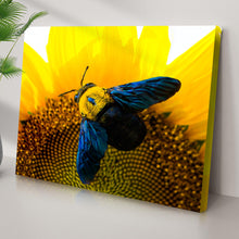 Load image into Gallery viewer, Bee Hoverfly Above A Sunflower Canvas Wall Art