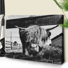 Load image into Gallery viewer, Curious Highland Cattle Monochrome Canvas Wall Art