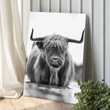 Load image into Gallery viewer, Grayscale Highland Cow Portrait Canvas Wall Art
