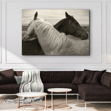 Load image into Gallery viewer, Monochrome Couple Horse Canvas Wall Art