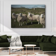 Load image into Gallery viewer, Flock Of Sheep Canvas Wall Art