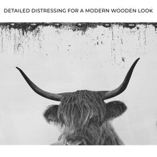 Load image into Gallery viewer, Highland Cattle Bath Canvas Wall Art II