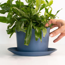 Load image into Gallery viewer, Geometric Oval Handmade Porcelain Planter