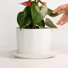 Load image into Gallery viewer, Geometric Oval Handmade Porcelain Planter