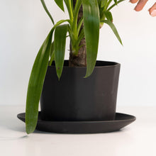 Load image into Gallery viewer, Geometric Oval Handmade Porcelain Planter