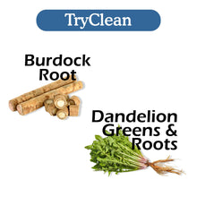 Load image into Gallery viewer, TryClean Bundle