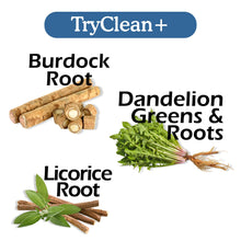 Load image into Gallery viewer, TryClean Plus Bundle