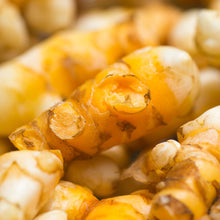 Load image into Gallery viewer, Turmeric Tincture