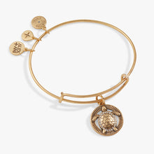 Load image into Gallery viewer, Turtle Charm Bangle
