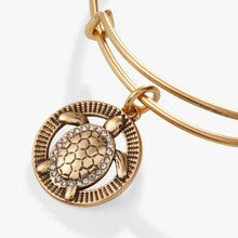 Load image into Gallery viewer, Turtle Charm Bangle