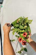 Load image into Gallery viewer, Bijou Bloom Hanging Planters