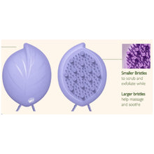 Load image into Gallery viewer, Wet Brush Go Green Scalp First Exfoliator - Purple