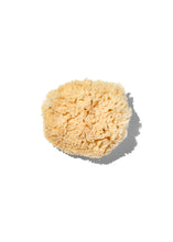 Load image into Gallery viewer, Natural "Wool" 3-4" Sea Sponge